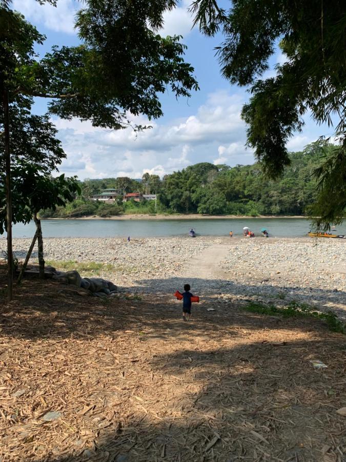 Playa Tortuga Lejlighed Puerto Misahuallí Eksteriør billede