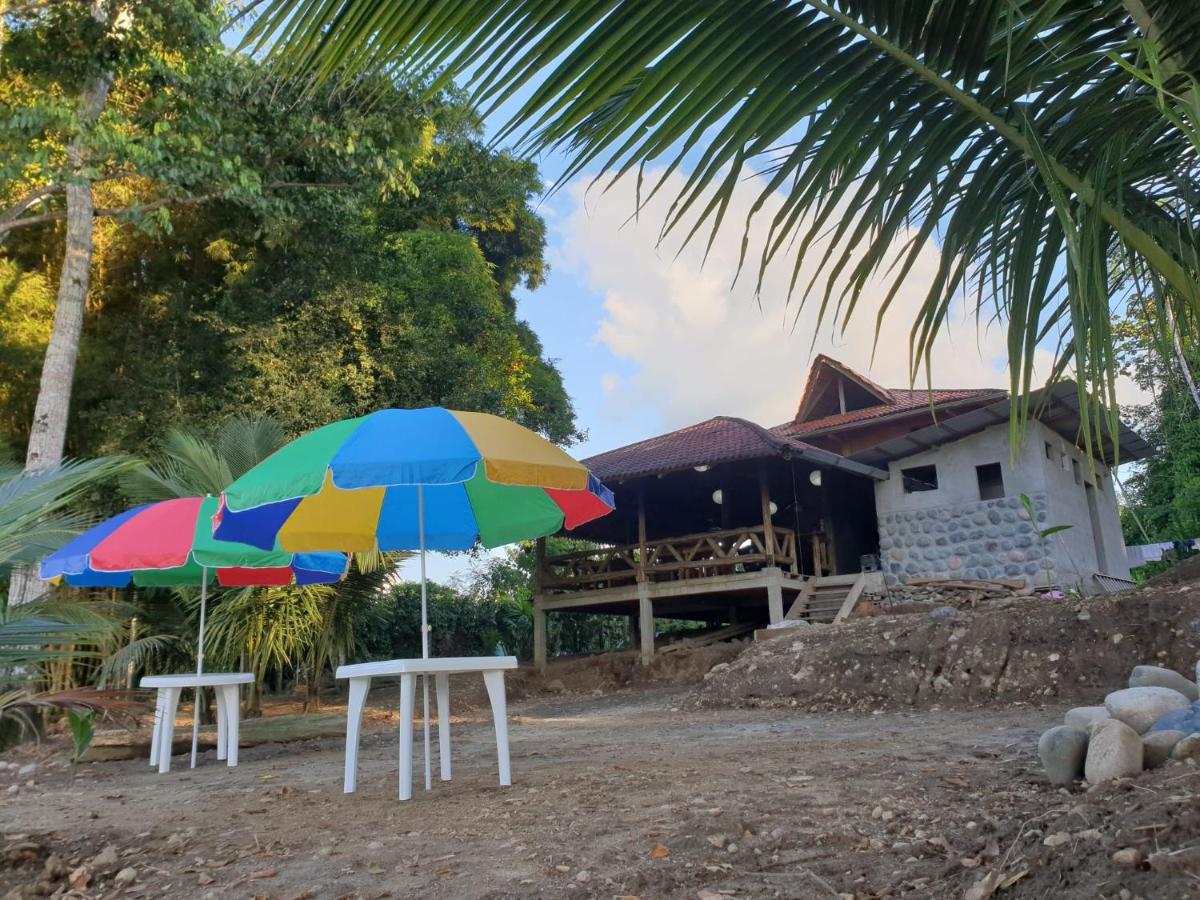 Playa Tortuga Lejlighed Puerto Misahuallí Eksteriør billede