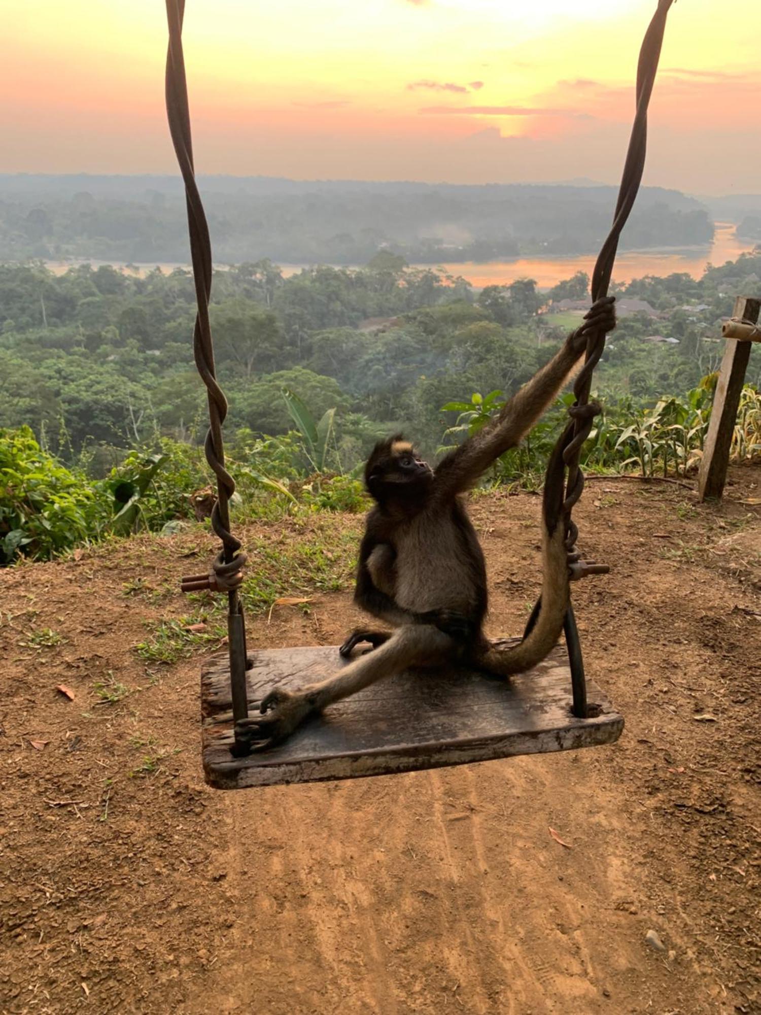 Playa Tortuga Lejlighed Puerto Misahuallí Eksteriør billede